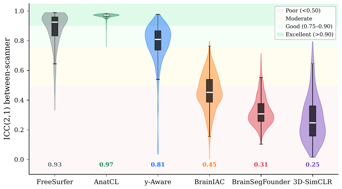 Violin plots of between-scanner ICC for FreeSurfer, AnatCL, y-Aware, BrainIAC, BrainSegFounder and 3D-SimCLR