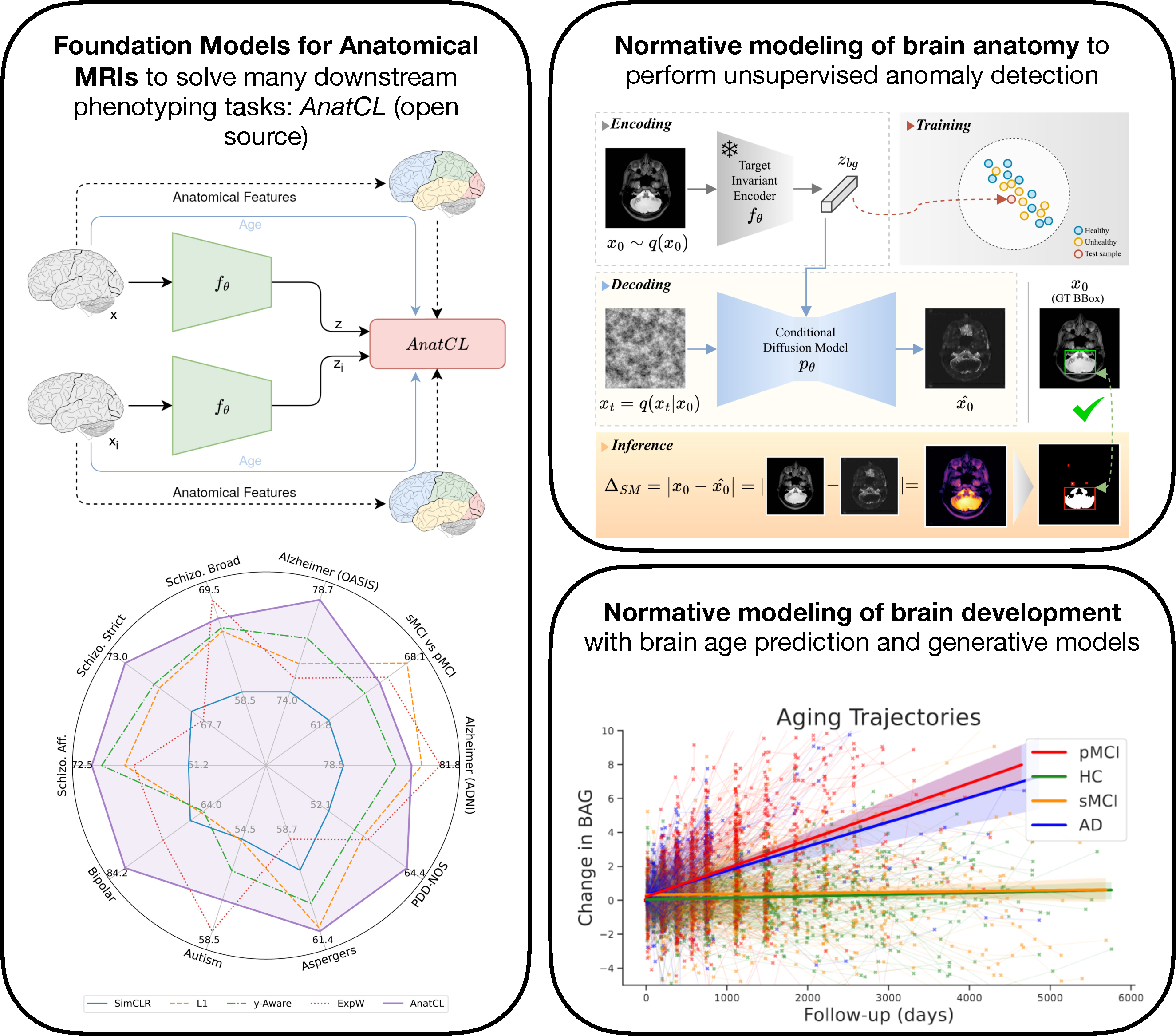 Foundation and Normative Modeling in Neuroimaging